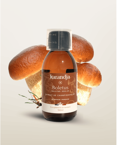 Extrait de Champignon Bio BOLETUS (Cèpes de Bordeaux français) 150ml