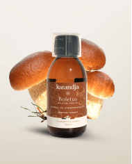 Extrait de Champignon Bio BOLETUS (Cèpes de Bordeaux français) 150ml