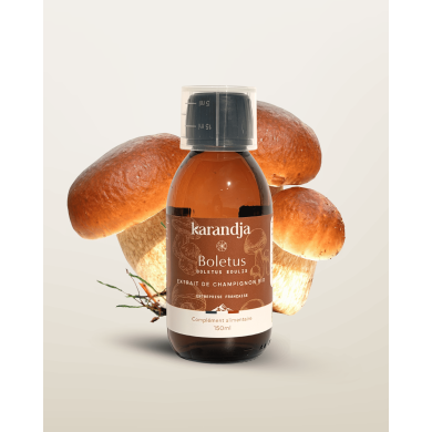 Extrait de Champignon Bio BOLETUS (Cèpes de Bordeaux français) 150ml