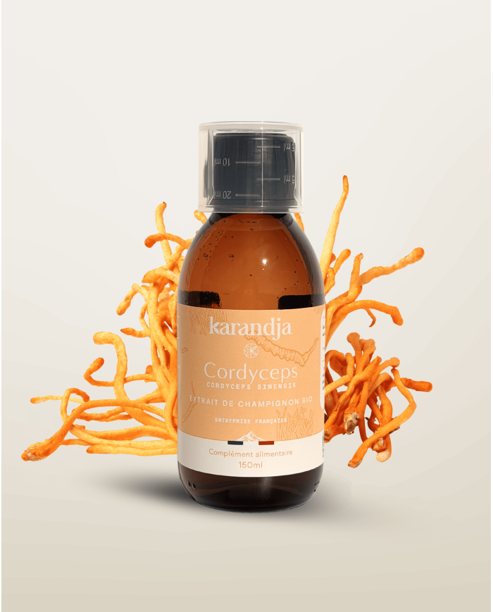 Extrait de Champignon Bio CORDYCEPS 150ml