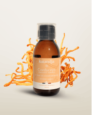 Extrait de Champignon Bio CORDYCEPS 150ml