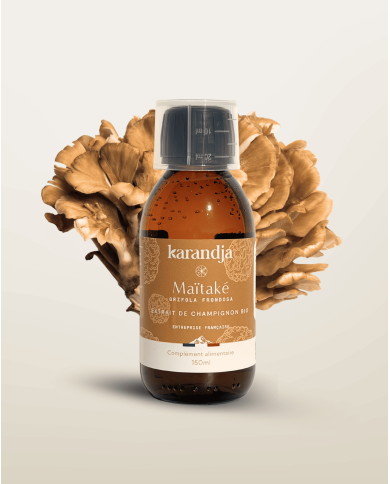 Extrait de Champignon Bio MAITAKE
150 ml