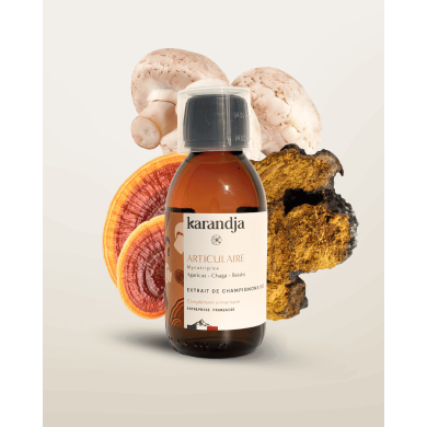 Extrait de Champignons Bio ARTICULAIRE 150ml