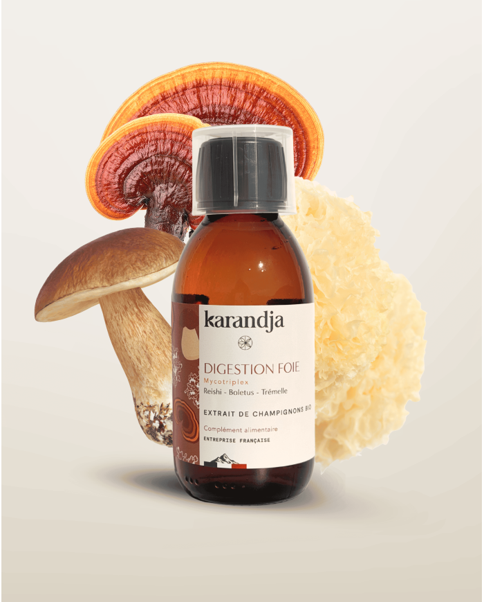 Extrait de Champignons Bio DIGESTION FOIE, Reishi - Boletus (Cèpe de Bordeaux) - Trémelle