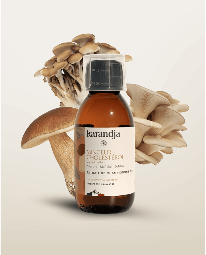 Extrait de champignons Bio Mycotriplex MINCEUR CHOLESTEROL