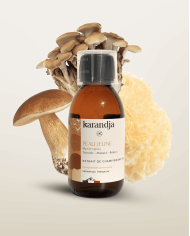 Extrait de champignons Bio Mycotriplex POUMON