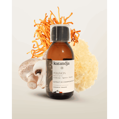 Extrait de Champignons Bio POUMON Cordyceps - Agaricus - Trémelle