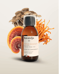 Extrait de Champignons Bio TONUS MASCULIN
Cordyceps - Maïtaké - Reishi