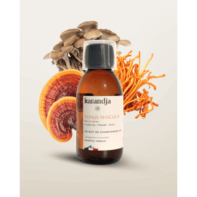 Extrait de Champignons Bio TONUS MASCULIN
Cordyceps - Maïtaké - Reishi