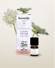 Huile essentielle CAORRTE SAUVAGE Bio chémotypée, 100% pure et naturelle, Karandja laboratoire.