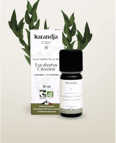 Huile essentielle EUCALYPTUS CITRONNE Bio chémotypée, 100% pure et naturelle, Karandja laboratoire.