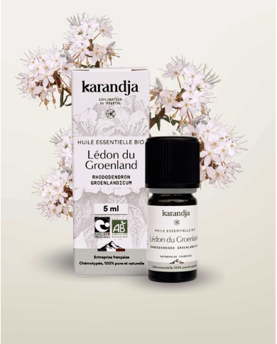 Huile essentielle LEDON DU GROENLAND Bio chémotypée, 100% pure et naturelle, Karandja laboratoire.