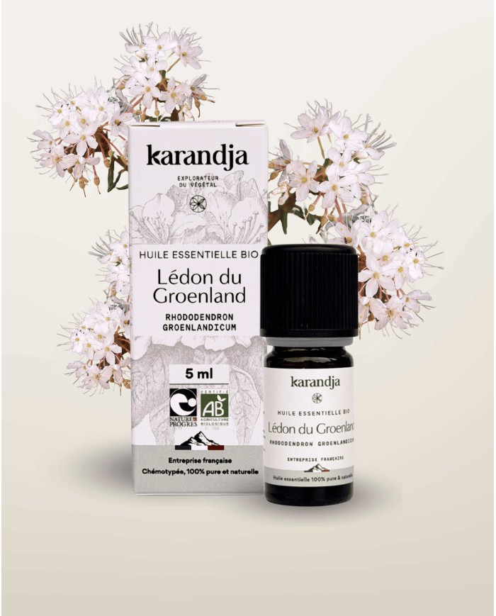 Huile essentielle LEDON DU GROENLAND Bio chémotypée, 100% pure et naturelle, Karandja laboratoire.