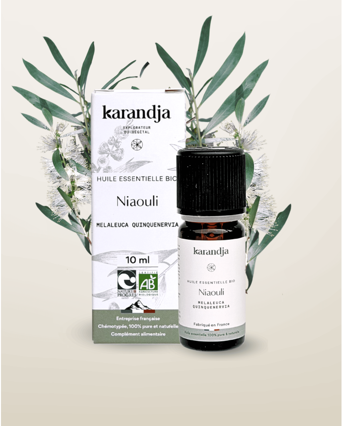 Huile essentielle NIAOULI Bio chémotypée, 100% pure et naturelle, Karandja laboratoire.