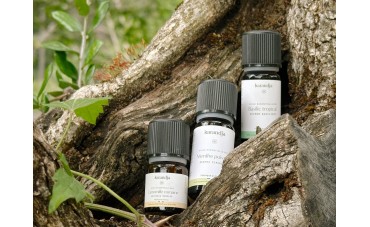 Top 3 des huiles essentielles pour les maux de tête