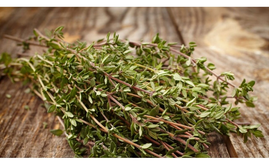 Thym linalol ou thymol : mieux comprendre leurs différences